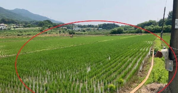 충북 제천시 봉양읍 명도리 OOOOO 답 경매 물건 이미지