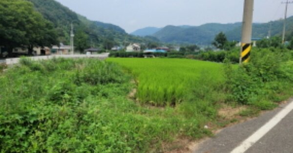 경상북도 청도군 운문면 마일리 OOOO 답 경매 물건 이미지
