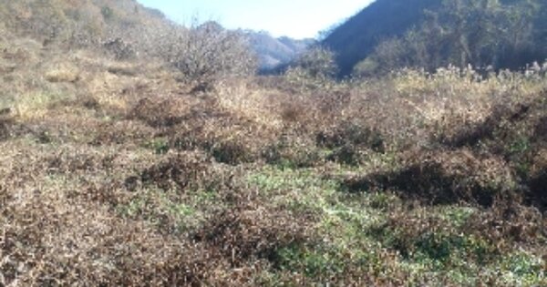 전라북도 완주군 화산면 화월리 OOOOO 답 경매 물건 이미지