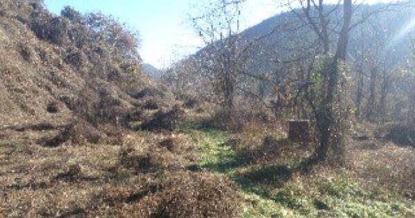 전라북도 완주군 화산면 화월리 OOO 답 경매 물건 이미지
