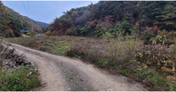 경상북도 영천시 신녕면 화남리 OOOO O OOO 전 경매 물건 이미지