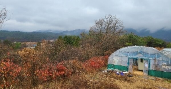 전라남도 화순군 청풍면 어리 OOOOO O OOO 전 경매 물건 이미지