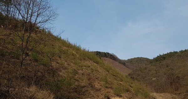 경상북도 의성군 옥산면 실업리 OOO 임야 경매 물건 이미지