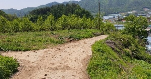 충청북도 영동군 추풍령면 지봉리 OOO 전 경매 물건 이미지
