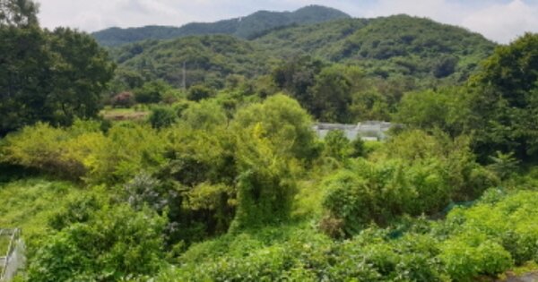 경상남도 함양군 백전면 평정리 OOO O OOO 답 경매 물건 이미지