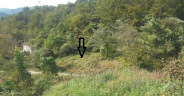 강원특별자치도 양양군 현남면 정자리 OOOOO 과수원 경매 물건 이미지