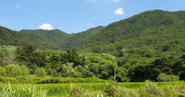 경상북도 경주시 천북면 성지리 OO 임야 경매 물건 이미지