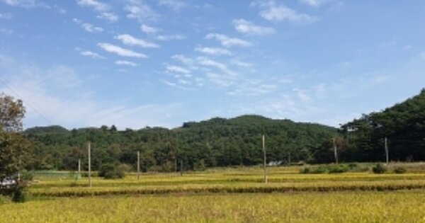 충청남도 홍성군 장곡면 상송리 OO O OOO 임야 경매 물건 이미지