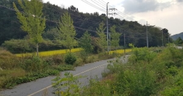 충청남도 서천군 문산면 문장리 OOOO 답 경매 물건 이미지