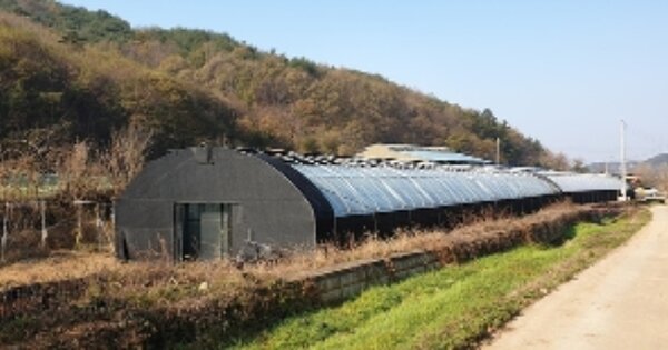 충청남도 예산군 신양면 시왕리 OO O OOO 답 경매 물건 이미지