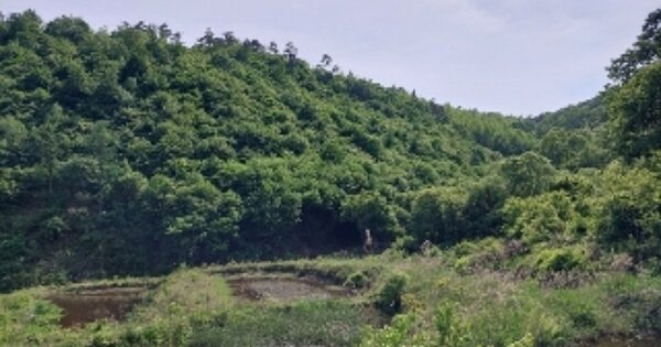 충청남도 공주시 유구읍 명곡리 OOO 답 경매 물건 이미지