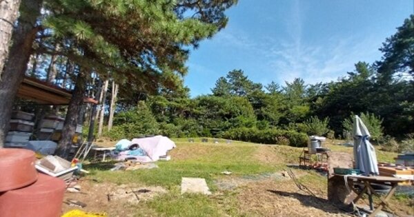 충청남도 공주시 계룡면 구왕리 OOOOOO O OOO 임야 경매 물건 이미지