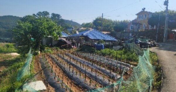 경상남도 통영시 한산면 염호리 OOOOO O OOO 전 경매 물건 이미지