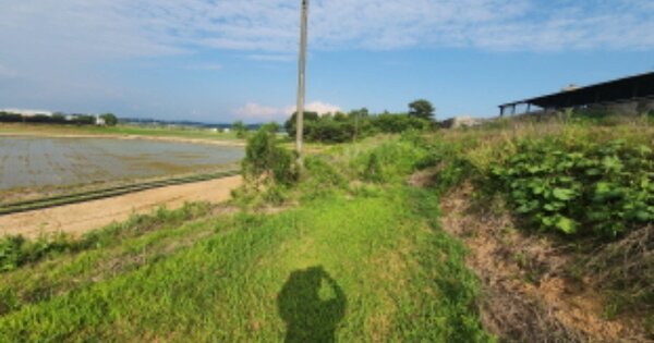 전라북도 익산시 성당면 대선리 OOOOO O OOO 임야 경매 물건 이미지