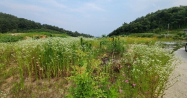 전라북도 익산시 함라면 신목리 OOOOOO 대지 경매 물건 이미지