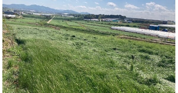 전라북도 고창군 대산면 갈마리 OOOOO 임야 경매 물건 이미지
