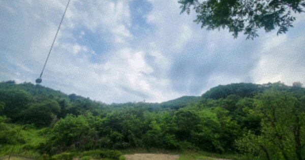 전라북도 임실군 신덕면 수천리 OOOOO 전 경매 물건 이미지