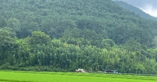 경상남도 사천시 사남면 종천리 OOO O OOOO 전 경매 물건 이미지