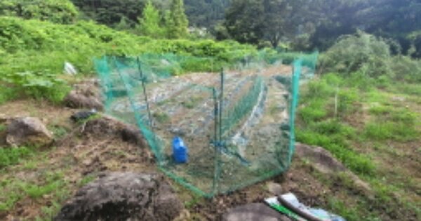대구광역시 달성군 유가읍 양리 OOO 답 경매 물건 이미지