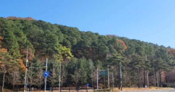 대구광역시 달서구 대곡동 OOOOOO 임야 경매 물건 이미지