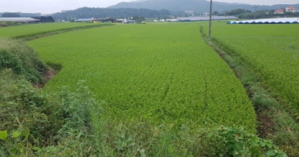 경기도 안성시 죽산면 장능리 OOO 전 경매 물건 이미지