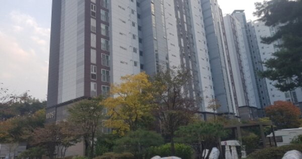 경기 평택시 장안동 619, 1005동 OOOOOOOO OOOOOOOOOOOOOOOOOO 아파트 경매 물건 이미지