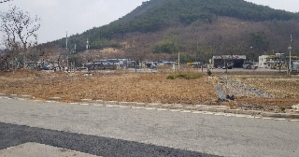 전라남도 광양시 진월면 망덕리 OOOOO 답 경매 물건 이미지