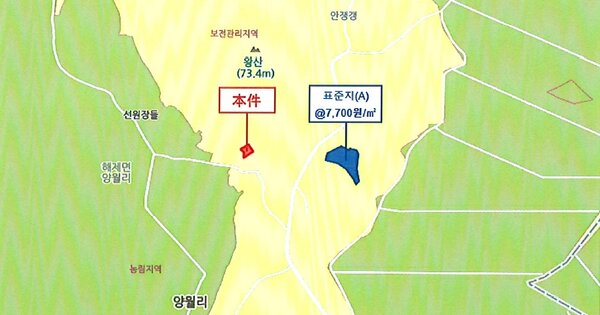 전라남도 무안군 해제면 양월리 OOO 전 경매 물건 이미지