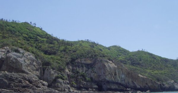 전라남도 진도군 조도면 관매도리 OOOOOO 임야 경매 물건 이미지