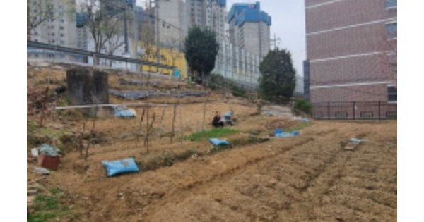 서울특별시 강동구 길동 OO 전 경매 물건 이미지