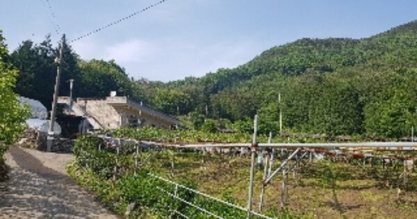 전라남도 광양시 봉강면 구서리 OOOOO 임야 경매 물건 이미지