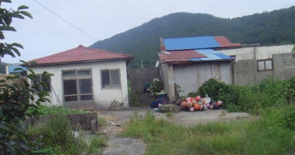 전라남도 완도군 청산면 국산리 OOOOO 동물 및 식물 관련시설 경매 물건 이미지
