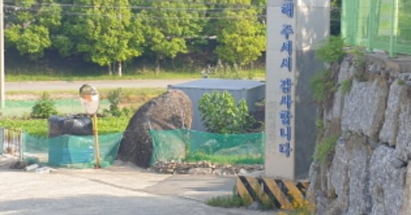 전라남도 광양시 옥곡면 신금리 OOO O OOO 공장 경매 물건 이미지