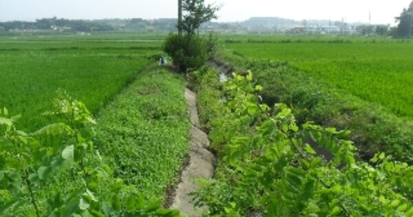 충청남도 서산시 인지면 산동리 OOOOOO O OOO 답 경매 물건 이미지