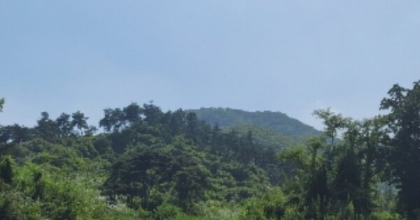 충청북도 괴산군 소수면 입암리 OOO 임야 경매 물건 이미지