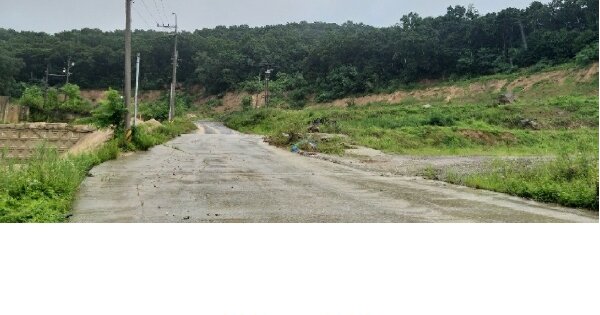 충청북도 청주시 흥덕구 강내면 태성리 OOOOOO O OOOO 임야 경매 물건 이미지