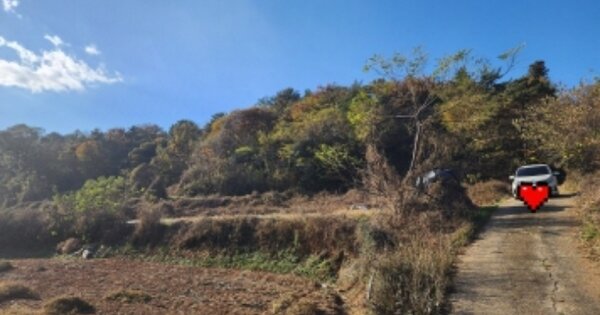 전라남도 여수시 율촌면 월산리 OOOOOO 임야 경매 물건 이미지