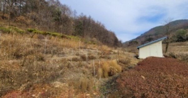충청북도 청주시 상당구 미원면 금관리 OO 전 경매 물건 이미지