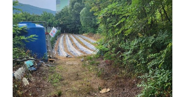경기도 광주시 도척면 진우리 OOOOO 전 경매 물건 이미지