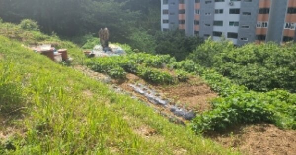 광주광역시 북구 두암동 OOOOO 전 경매 물건 이미지
