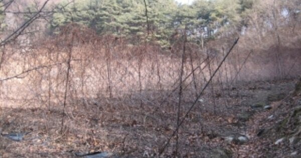 경상북도 문경시 동로면 석항리 OOO 전 경매 물건 이미지