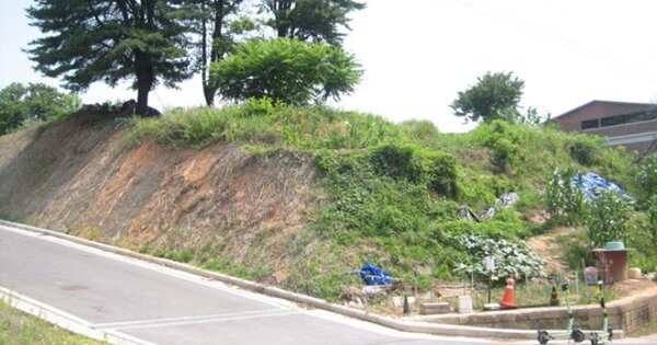 경상북도 문경시 모전동 OOOOO 임야 경매 물건 이미지