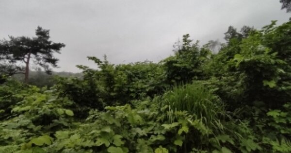 전라남도 곡성군 오산면 청단리 OOO O OOO 전 경매 물건 이미지