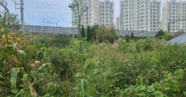 광주광역시 광산구 도산동 OOOOOOO 대지 경매 물건 이미지