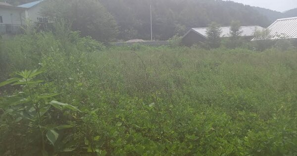 경기도 포천시 신북면 덕둔리 OOO 답 경매 물건 이미지