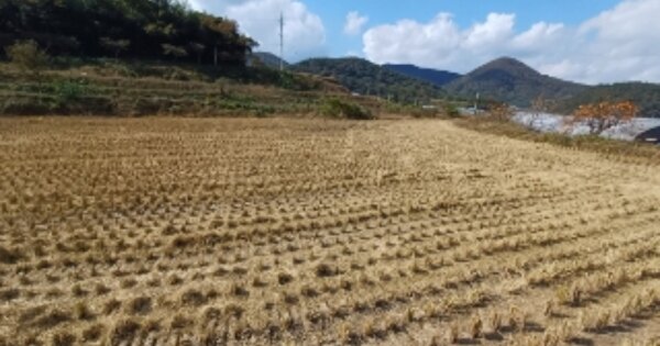 전라남도 담양군 가사문학면 경상리 OOOOO O OOO 전 경매 물건 이미지
