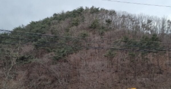 울산광역시 울주군 범서읍 구영리 OOOOOOO 임야 경매 물건 이미지