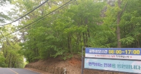 경상남도 창원시 마산합포구 진동면 인곡리 OOOO 임야 경매 물건 이미지