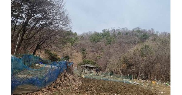 서울특별시 서초구 원지동 OOOOO 전 경매 물건 이미지