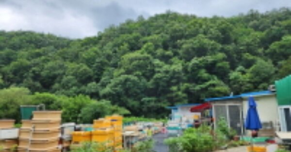울산광역시 울주군 삼동면 하잠리 OOOO 답 경매 물건 이미지